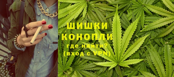 ALPHA PVP Няндома
