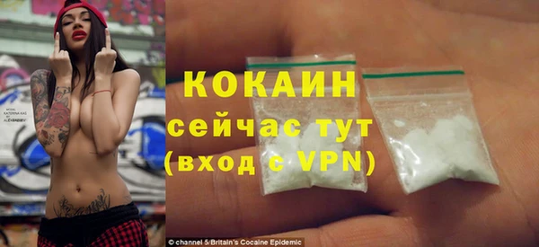шишки Нягань