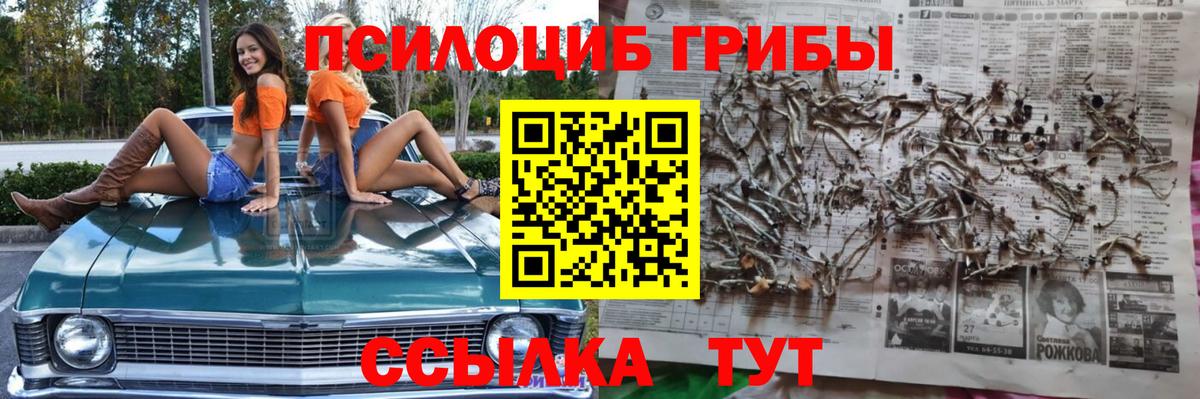 Галлюциногенные грибы GOLDEN TEACHER Урус-Мартан